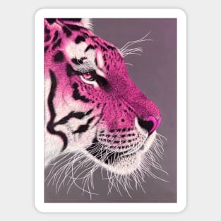 Fuchsia pink and white ombre tiger Sticker